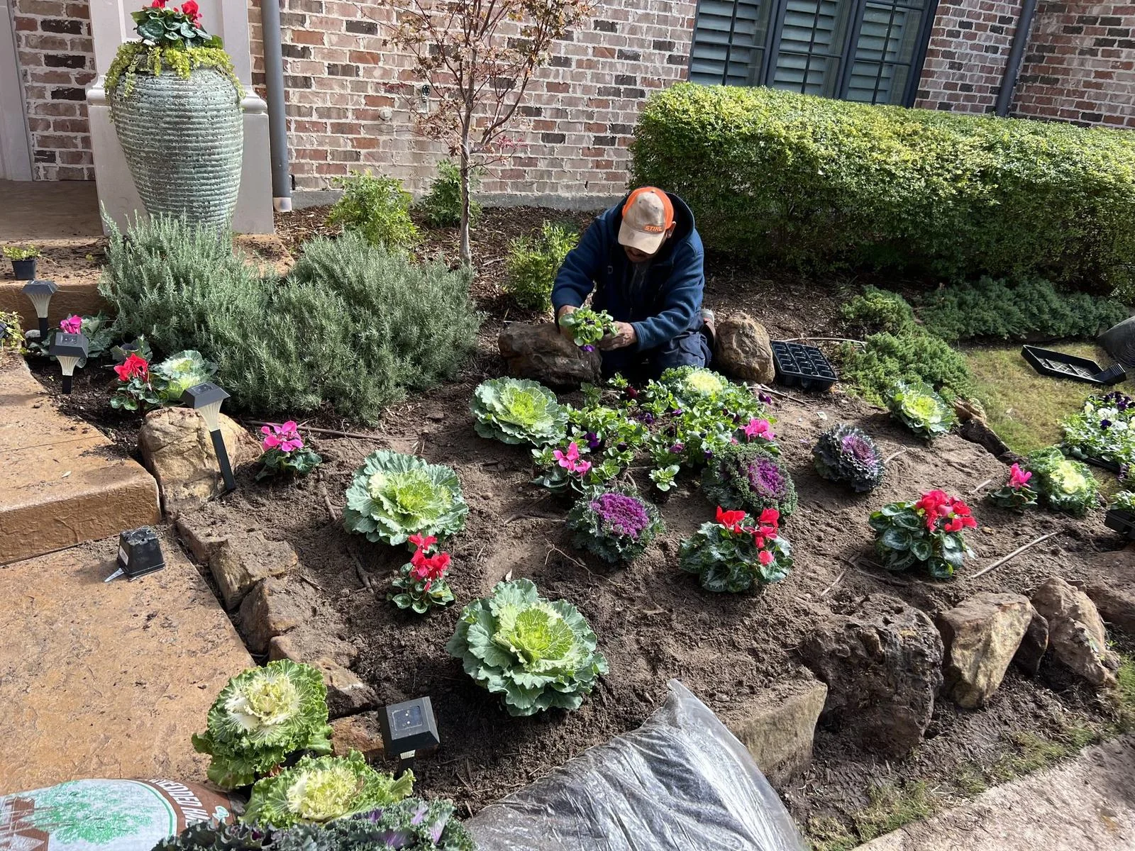 Frisco Landscapes crew member installing fall color in a stone-edged Plano, TX garden bed