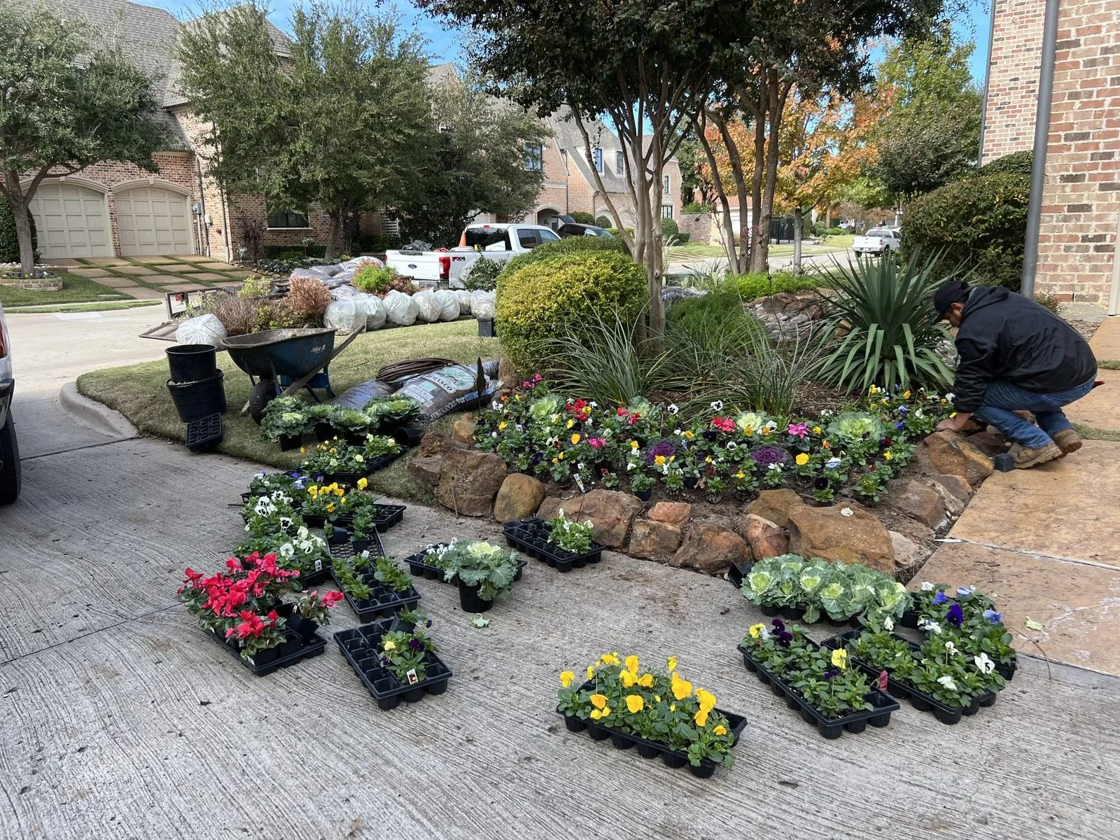 Plano, TX front flower bed refresh in progress with colorful plants ready for installation