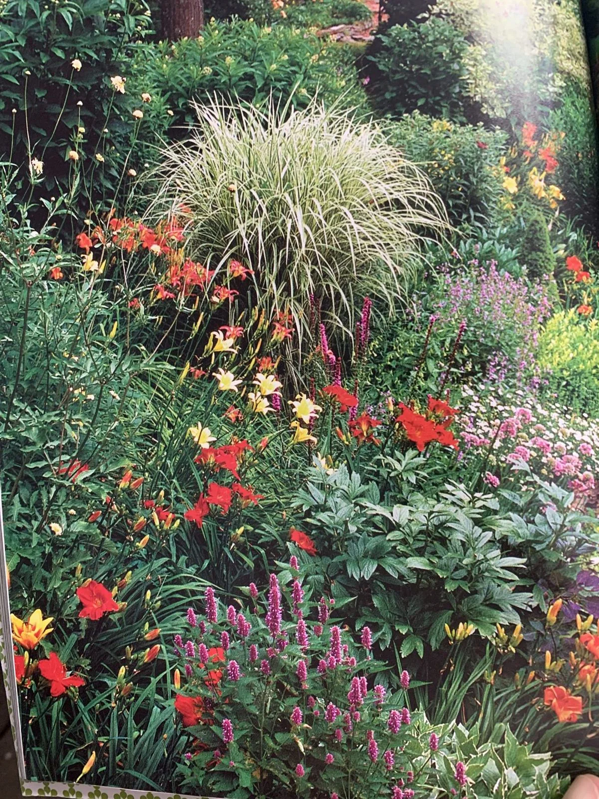 Seasonal color and perennial flower bed planting for a Plano and Frisco, TX landscape